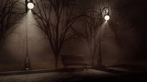 Evening Foggy Park