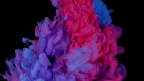 Blue and Pink Ink Swirling in Water on Black