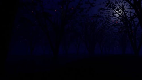 Dark Forest With Moon