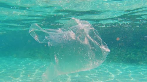 Plastic bag is floating in a sea/ocean. Plastic pollution, big environmental problem in the nature.