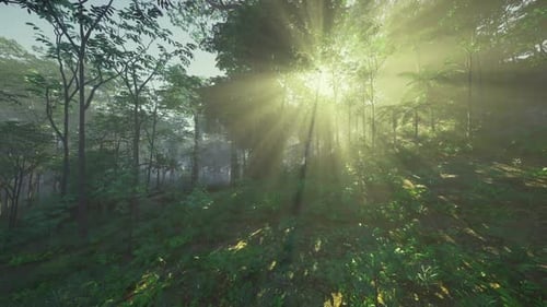 Humid Environment with Vibrant Plant Life and Scattered Sunlight