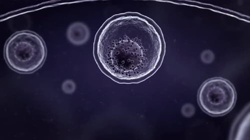 Abstract Cell Transforming into Cube and Particles Animation