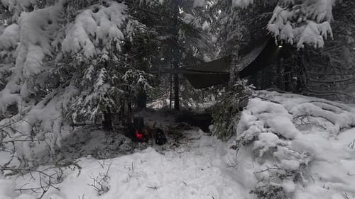 A lone winter camp sits tucked between snow-covered pines.