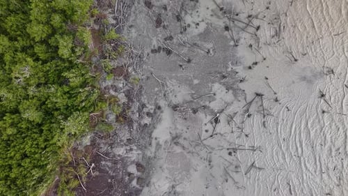 Aerial Drone View of Mangrove Clearing on Tropical Coastline