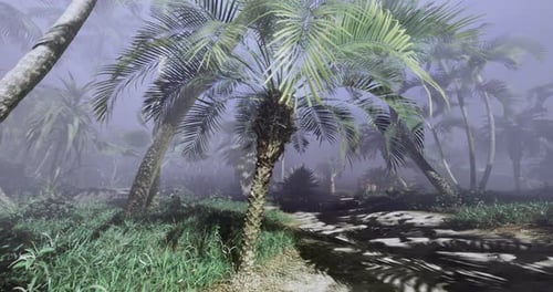 Misty Tropical Jungle Path Animation