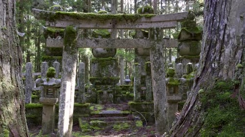 Incredible slow motion dolly in toward stone shrine gate in Japan inside forest