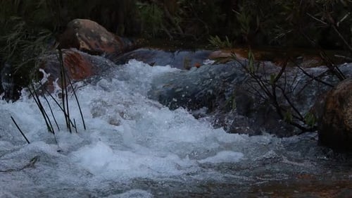 A slow flowing river deep in the wilderness of South Africa