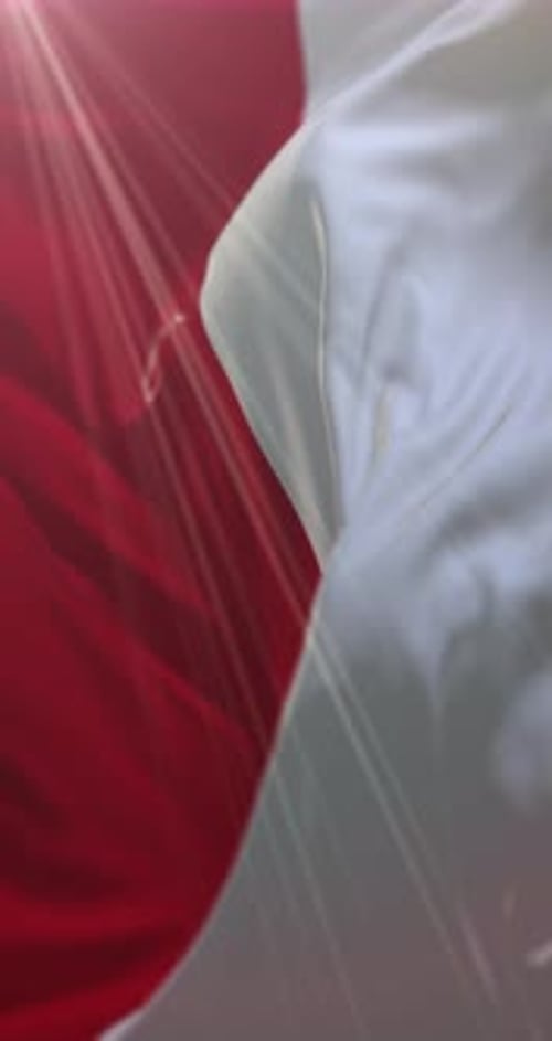 Flagge von Forli