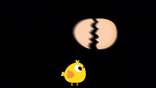 Chicken Hatching From Egg Alpha Channel 4K