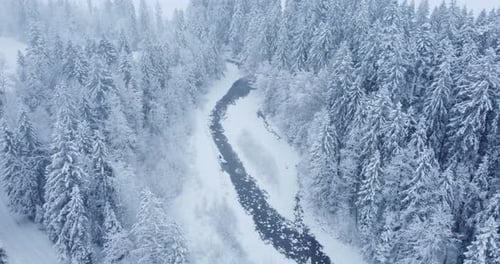A Serene Winter Landscape Featuring a SnowCovered River Flowing Gently Through Pines