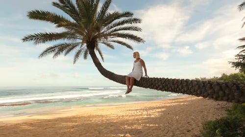 Woman Sits on Palm Tree Overlooking Tropical Beach 20-25