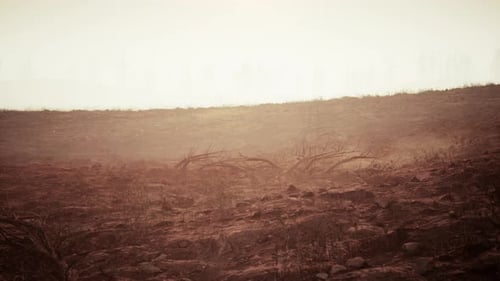 Storm of Dust and Sand in Desert