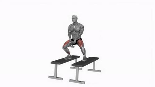 3D Animated Dumbbell Sumo Squat Exercise Demonstration