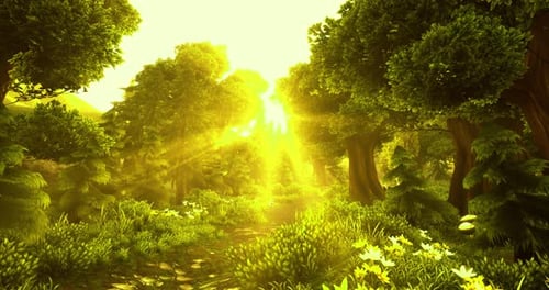 Golden Sunlight Filters Through Lush Green Trees in a Vibrant Forest Trail