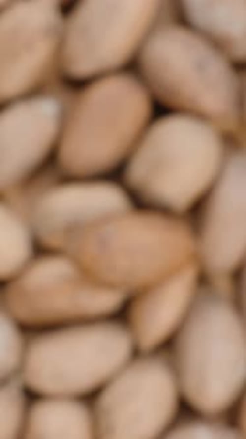 Vertical video. Pecan nuts out of focus, top view, gradually coming into sharpness.