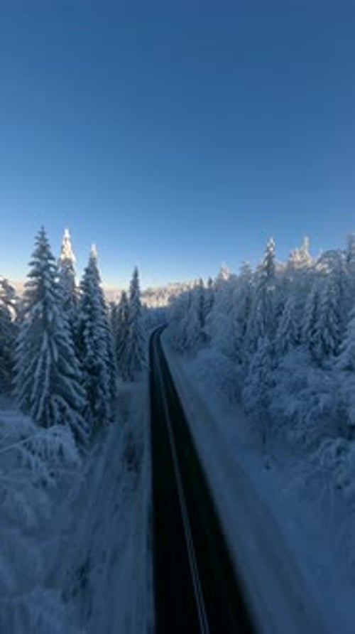 Scenic Road Through a Snowy Winter Mountain Forest in the Morning