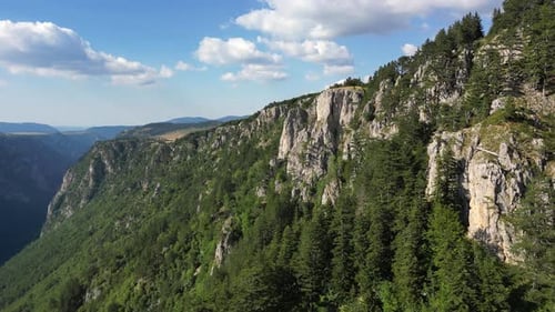 Aerial view of an epic, rocky canyon overgrown with coniferous forest. Durmitor. Montenegro.