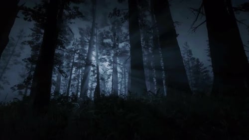 Gruselige Szene im Wald, Mystische Bäume, Dunkle Nacht, Mondlicht, Horror im Nebel