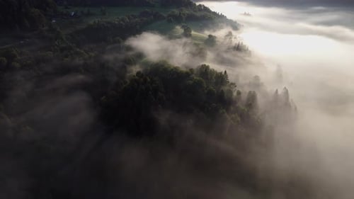 Aerial View of Sun Rays Shining Through Trees in Light Morning Fog Over Forested Hills