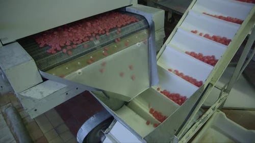 finished caramel candies fall on a conveyor belt in a candy factory