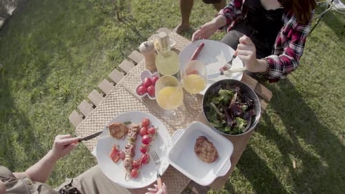 Friends Enjoying Outdoor Barbecue on Sunny Day