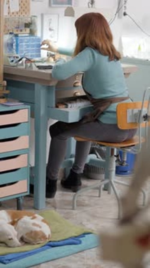 Female Artisan Making Jewel For Pet Is Busy On Her Small Working Place Selective Focus Shot