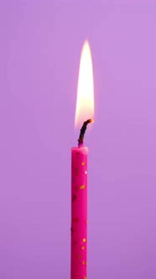 Time Lapse of One Cake Candle Burning on a Purple Background Close Up on Burning Pink or Magenta