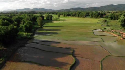 Imagens de 4K de voo sobre lindos campos de arroz em um vale sereno no Laos, sudeste da Ásia, com