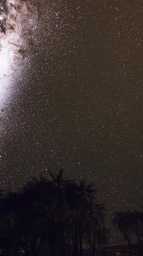 Night Scene with Silhouette Hut and Coconut Tree with Milky Way Galaxy in Sky