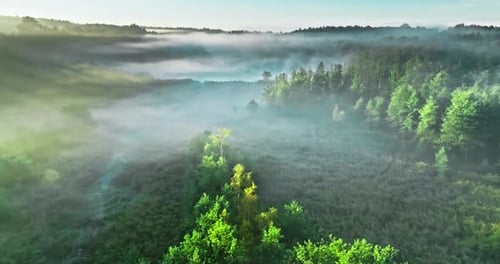 Aerial view of foggy valley in autumn at sunrise.
