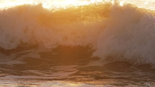 Breaking Ocean Wave on Sunset