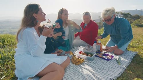 Family Enjoys Picnic on Scenic Grassy Hillside