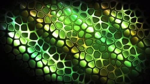 Animation of Texture Cells