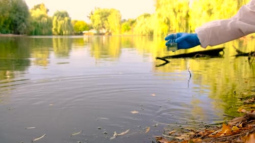 Conduct a Water Study on a River Selective Focus