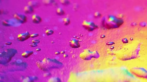Macro Water Droplets Reflecting Rainbow Colors