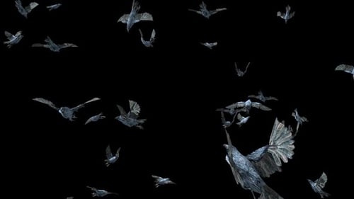 3D Animated Flock of Flying Crows