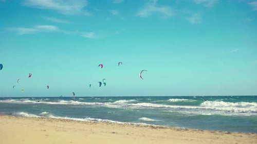 Windy day at the beach with several kite surfers on the background