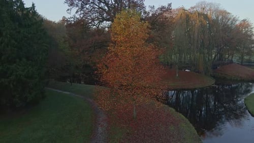 Aerial view of small park with trees in autumn colours