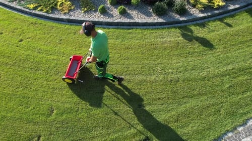 Lawn Care Expert Using a Spreader to Fertilize Grass in a Well-Maintained Garden