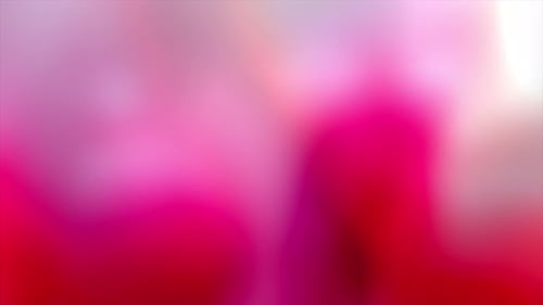 Vow Sammlung: Lichtübergangselement aus rosa und gelben Lichtern, die auf einem schwarzen Hintergrund vorbeigehen