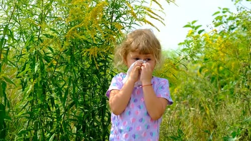 Child in a Field of Ragweed Elective Focus