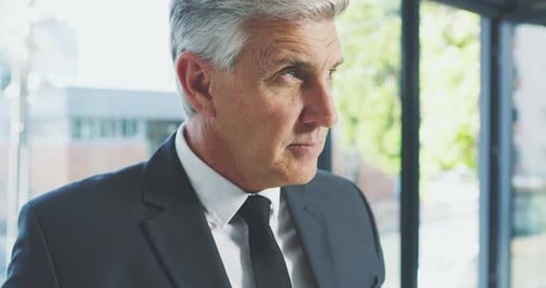 4k video footage of a handsome mature businessman using his tablet while standing in the office