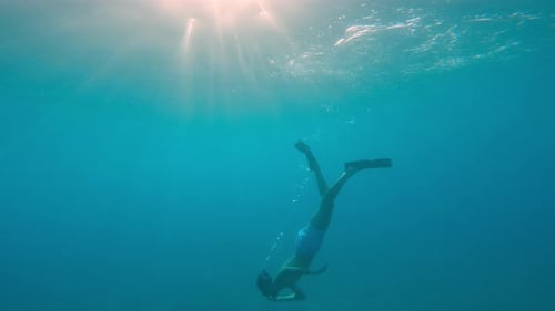Exploring The Ocean Underwater