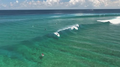 Aerial view of surfers on waves, Maldives.