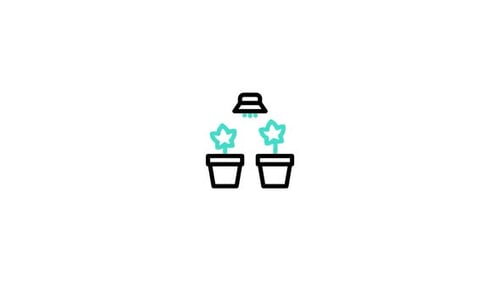 Plants Animated Icon