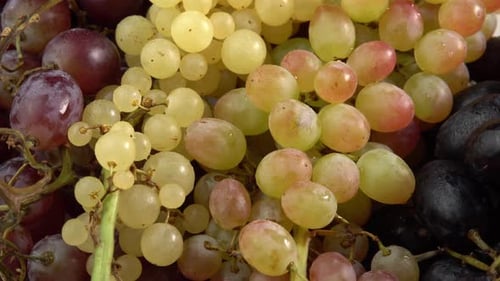 Bunches of grapes of different varieties rotating as a background. Grape close up, concept wine