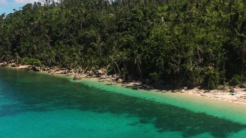 Coconut Trees Along The Coastline Of Island During Summer In The Philippines. - aerial