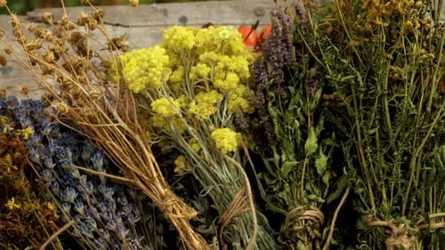 Dried Flowers and Herbs Tied with Twine