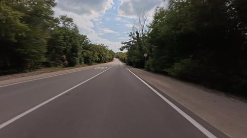 Road Stretches Through Trees on a Cloudy Day with a Hint of Sunlight in the Distance