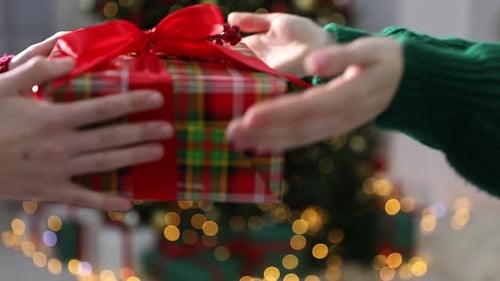 Giving Christmas Present Near Decorated Christmas Tree